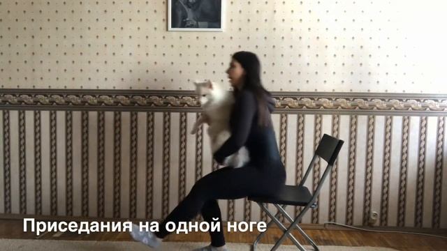 Приседания на одной ноге смотреть онлайн