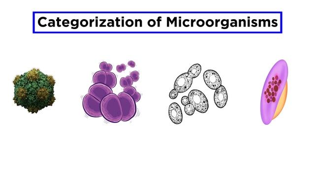 Introduction to the Microbial World смотреть онлайн