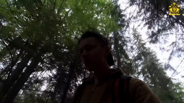 ПЕРШИЙ ПОХІД ЗА БІЛИМИ ГРИБАМИ КАРПАТСЬКИМИ ЛІСАМИ 2023 / Розвідка з гуцулом смотреть онлайн