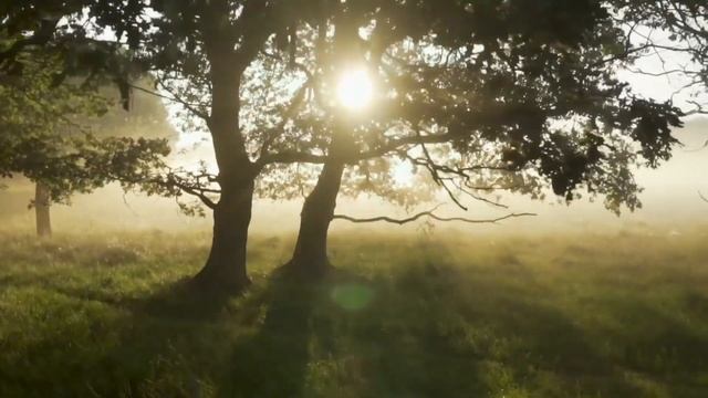 Расслабляющая музыка, Relaxing Music#sleep music# смотреть онлайн