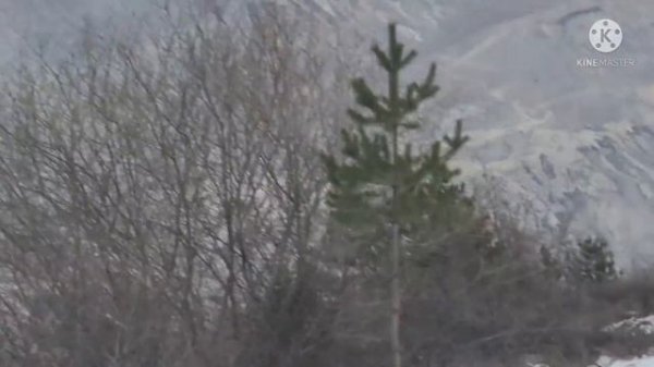 Ботлихский район. Ботлих, Годобери, Рахата, Ансалта,Шодрода, Зибирхали. 01.01.2022 год