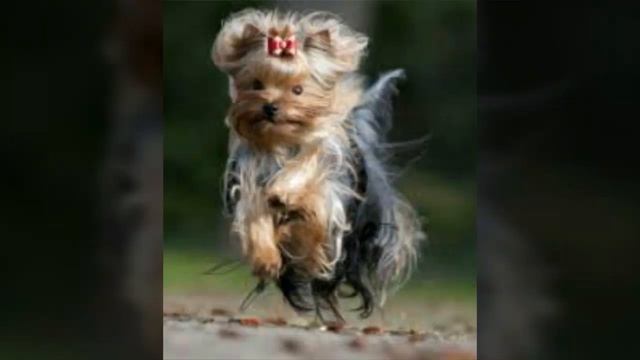 Выбор фото на канал! смотреть онлайн