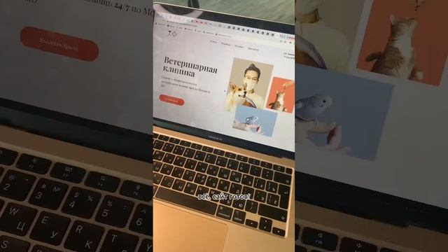 Как самому сделать сайт без программирования с нуля?? #сайт #дизайн #снуля #тильда #урок #обучение смотреть онлайн