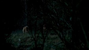 Треш Обзор Фильма Слизняк