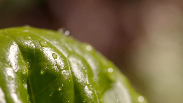 Sleeping Music Meditation Musicmeditation Music For Sleepdeep Sleep Music