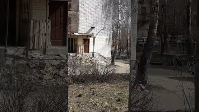 #Ремонт или Орловские РУКОЖОПЫ ... смотреть онлайн