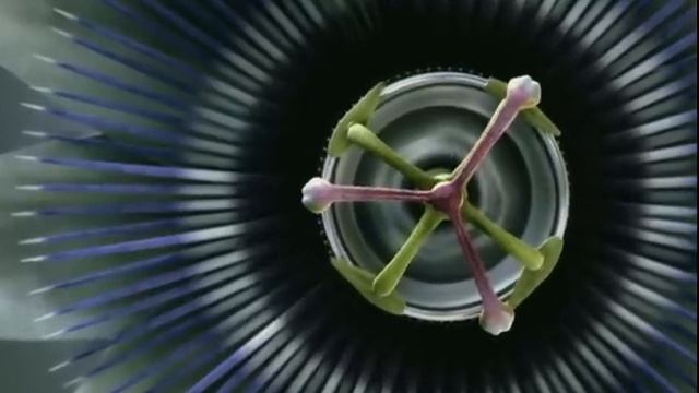 Theater Intros (Dolby,THX) смотреть онлайн