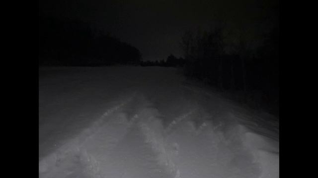 You woke up on a Trail | Choose Your Own Adventure (Horror?) смотреть онлайн