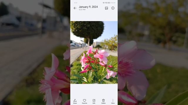 HONOR X8b CAMERA SAMPLE PHOTOS & VIDEOS: See For Yourself! #HONORX8b