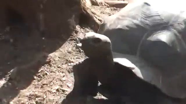 Гиганты планеты смотреть онлайн