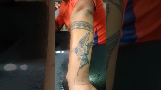 Kingfisher Tattoo on Kalamrocks смотреть онлайн