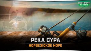 Река Сура • Норвежское море • Русская Рыбалка 4