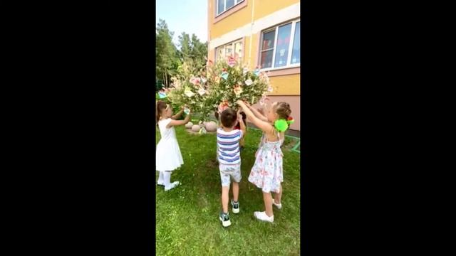 Акция "Дерево желаний" смотреть онлайн