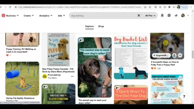 Affiliate Marketing uploading pdf documents for Free - Bele Foor - Fooring Bele смотреть онлайн
