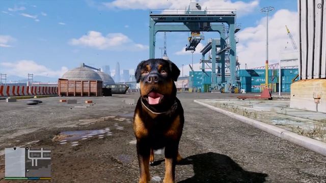 ПЁС СТАЛ КОПОМ! СОБАКА ПОЛИЦЕЙСКИЙ! ЖИЗНЬ ЖИВОТНЫХ В GTA 5 МОДЫ смотреть онлайн