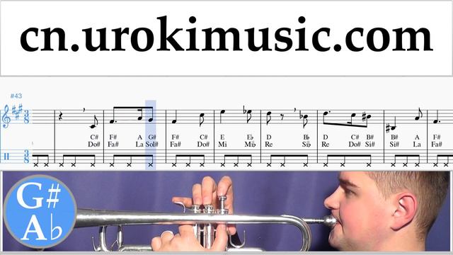 小号教学 Harry Potter - Hedwig's Theme 指法谱 Um-i791