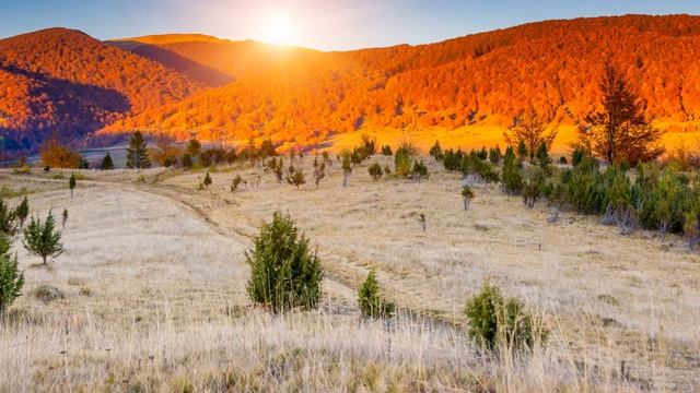 Картинка горы. Рассвет, горы, луг, деревья. смотреть онлайн