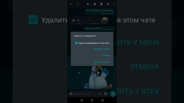 Как удалять старые сообщения в WhatsApp у всех (простой способ) смотреть онлайн