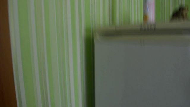 Квартира-домик ул.Русская,26 г.Феодосия смотреть онлайн