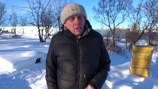 БОЛЕЗНИ ПЧЁЛ, КАК ИЗБАВИТЬСЯ ОТ АСКОФЕРОЗА, ЛЕЧЕНИЕ ПЧЁЛ НА ПАСЕКЕ смотреть онлайн