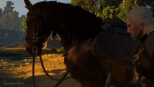 The Witcher 3: Wild Hunt [1080p HD PC] Gameplay / Játékmenet - GameSoft.hu смотреть онлайн