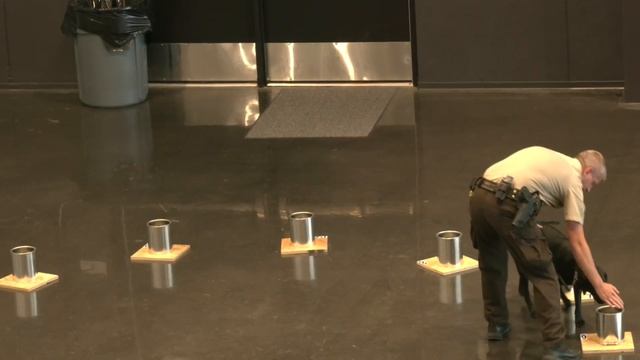How K-9 officers learn to sniff out trouble смотреть онлайн