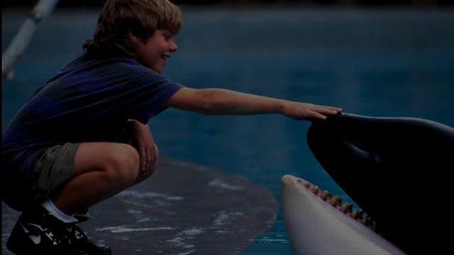 ТОП10 ЛУЧШИХ ФИЛЬМОВ ПРО ЖИВОТНЫХ!