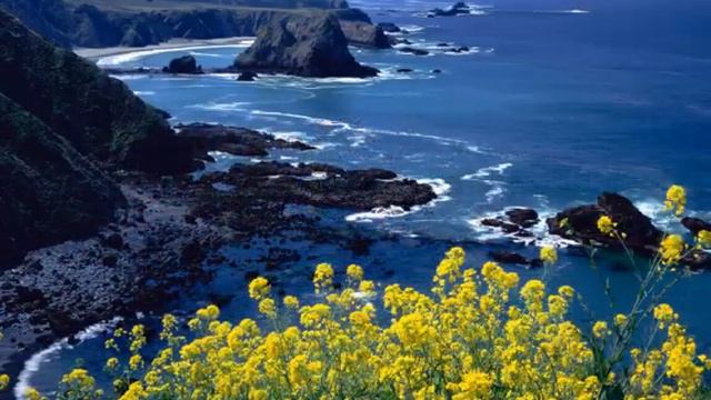 Море Молодости - ЛИЛИ ИВАНОВА. смотреть онлайн