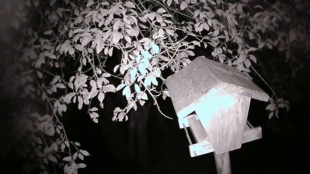Жела Live Stream смотреть онлайн