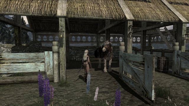 Skyrim - Elysium Estate смотреть онлайн