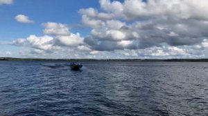 Катер Воронеж мотор Honda BF30