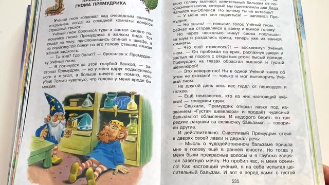 Сказка для детей « Истории про гномов. Приключения гнома Премудрика» - читаем вслух. смотреть онлайн