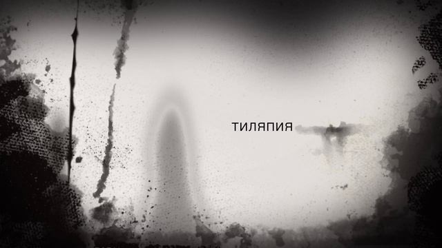 Тиляпия и верхоплавка (16) смотреть онлайн
