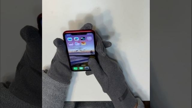 TM12-39 FABRETTI Перчатки жен. 100%полиэстер