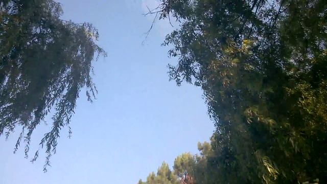 Прогулка по Рышканам 2 смотреть онлайн