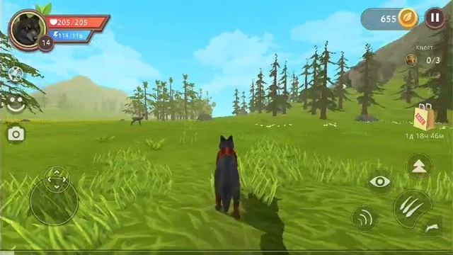 Wild Craft 1 часть смотреть онлайн