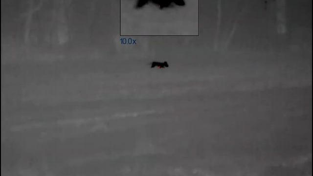 Pulsar thermal foxing смотреть онлайн