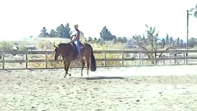 Bright Seeker Bars смотреть онлайн