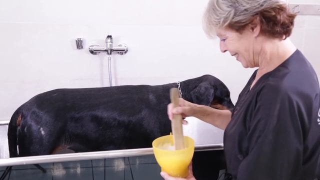 Traditional Line Лимон