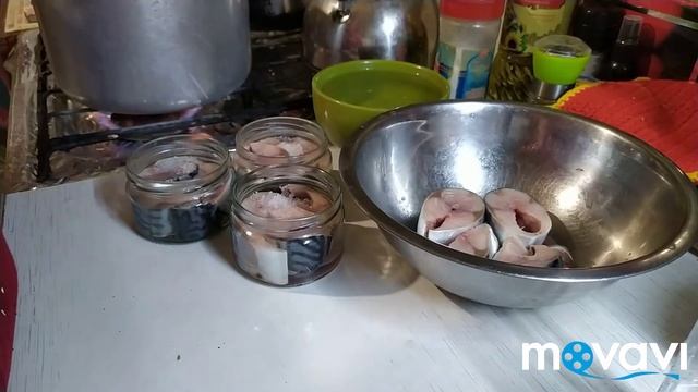Консервы из скумбрии в скороварке + скумбрия быстрого посола. Два блюда в одном видео. смотреть онлайн