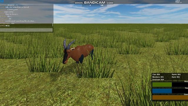 las diferencias del topi en wild savannah y testing a смотреть онлайн