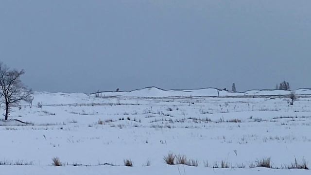 Холмы глэмпинг, Ульяновская область. Dodge RAM. 8 марта. Застряли в поле, ждали трактор 8 часов! ?? смотреть онлайн