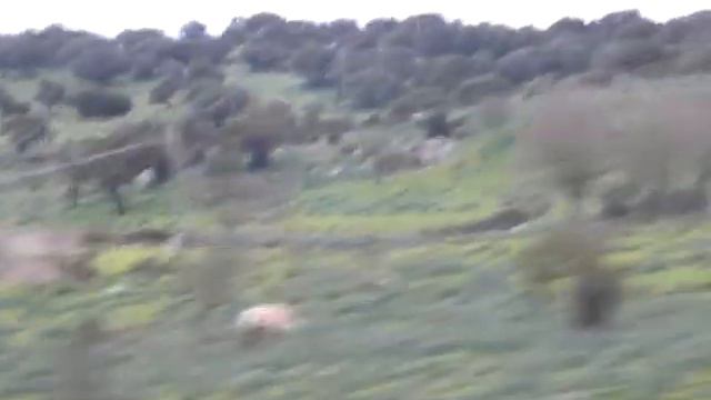 Oristano (4 marzo 2011) смотреть онлайн