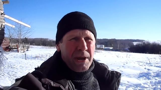 Как я запускаю коров смотреть онлайн