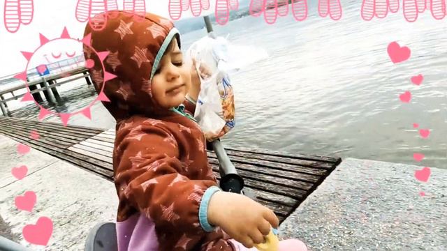 Cücələrim Mahnısı Sevda Cüceleri Yemleyir 😃🐥 смотреть онлайн