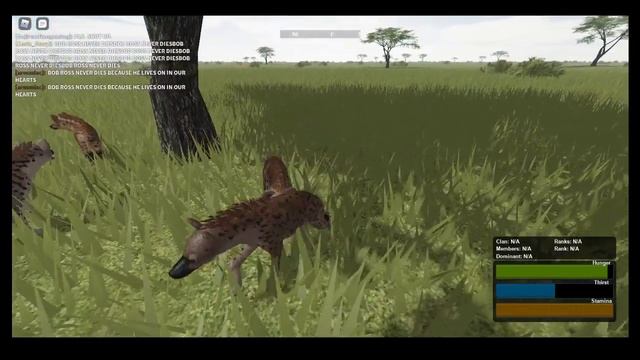Joining a clan of hyenas in Wild Savannah Testing A - Roblox смотреть онлайн