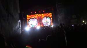 Infected Mushroom -- Becoming Insane (Kubana 2013)