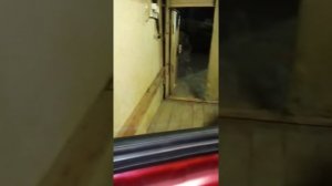 Меган3. Проблема со стеклоподъёмником решена.