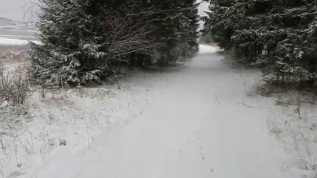 Прогулка на залив. смотреть онлайн