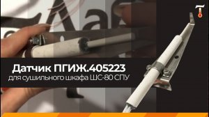 Датчик ПГИЖ.405223.020 для сушильного шкафа ШС-80 СПУ, обзор. Лаб-Терм
